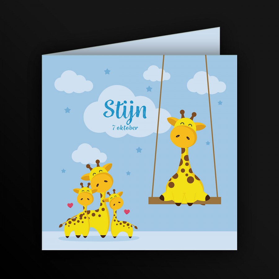 Geboortekaartje Stijn
