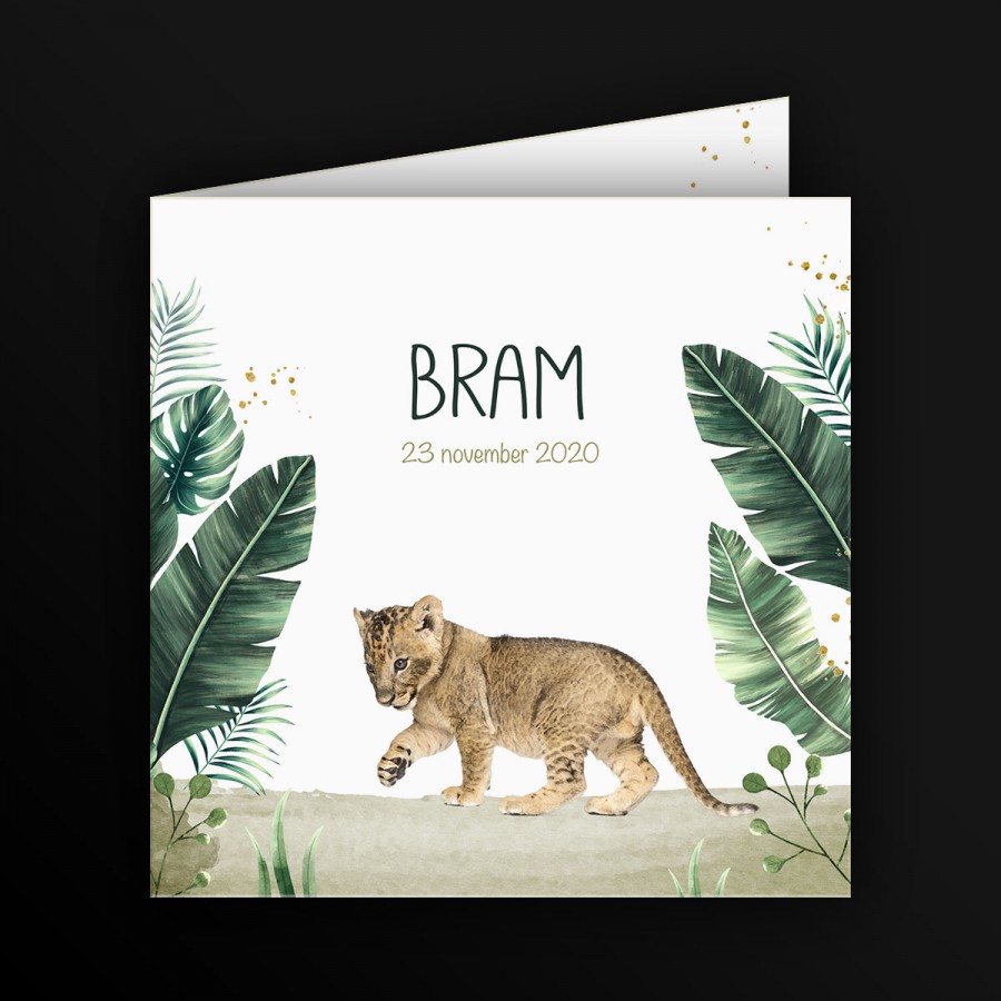 Geboortekaartje Bram